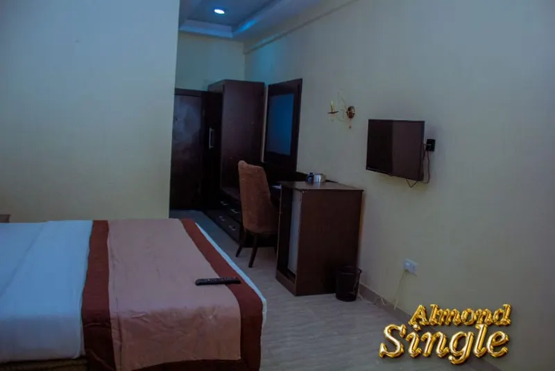 Almond Single — photo 6